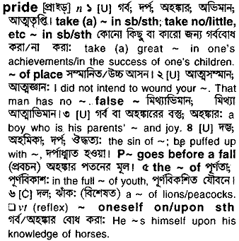 Meaning Of Pride