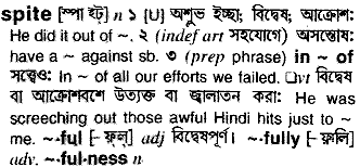 Bangla Meaning Of Spite