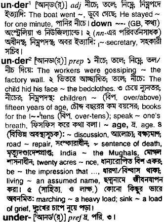 Bangla Meaning of Under